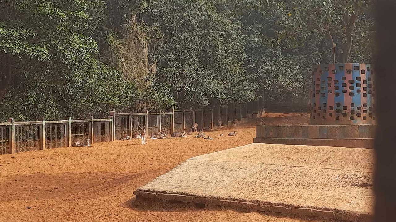 dhakapost