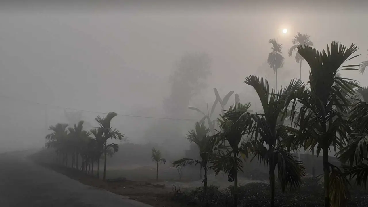 তাপমাত্রা নামল ৭.৩ ডিগ্রিতে, মাঝারি শৈত্যপ্রবাহে পঞ্চগড়