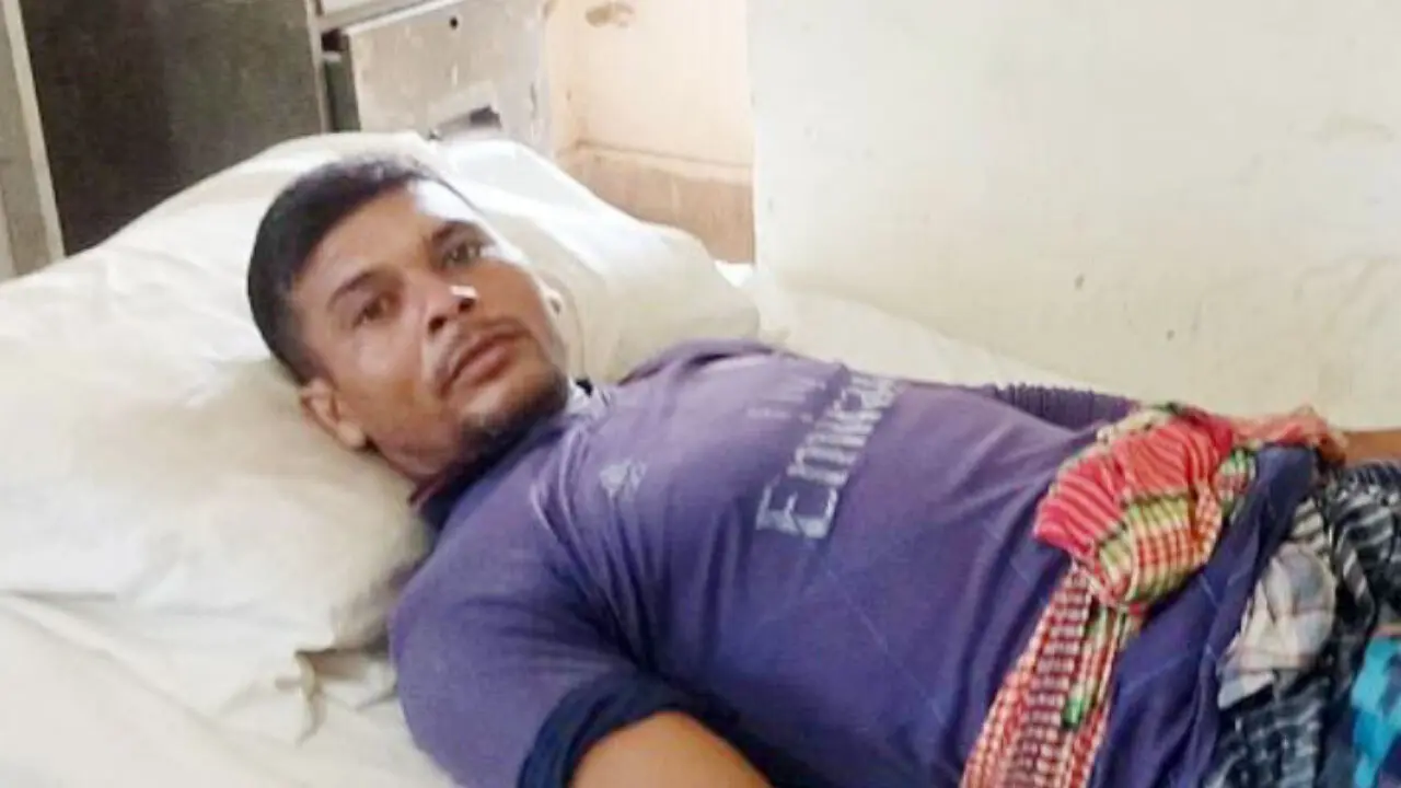 কামড় দেওয়ার পর জীবিত রাসেলস ভাইপার নিয়ে হাসপাতালে কৃষক