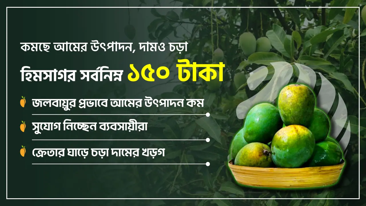একশর নিচে আম নেই বাজারে, হিমসাগর সর্বনিম্ন ১৫০