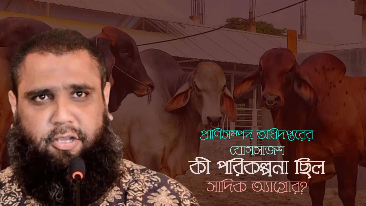 সাদিক অ্যাগ্রো : পর্দার আড়ালে কি মাফিয়া সিন্ডিকেট?