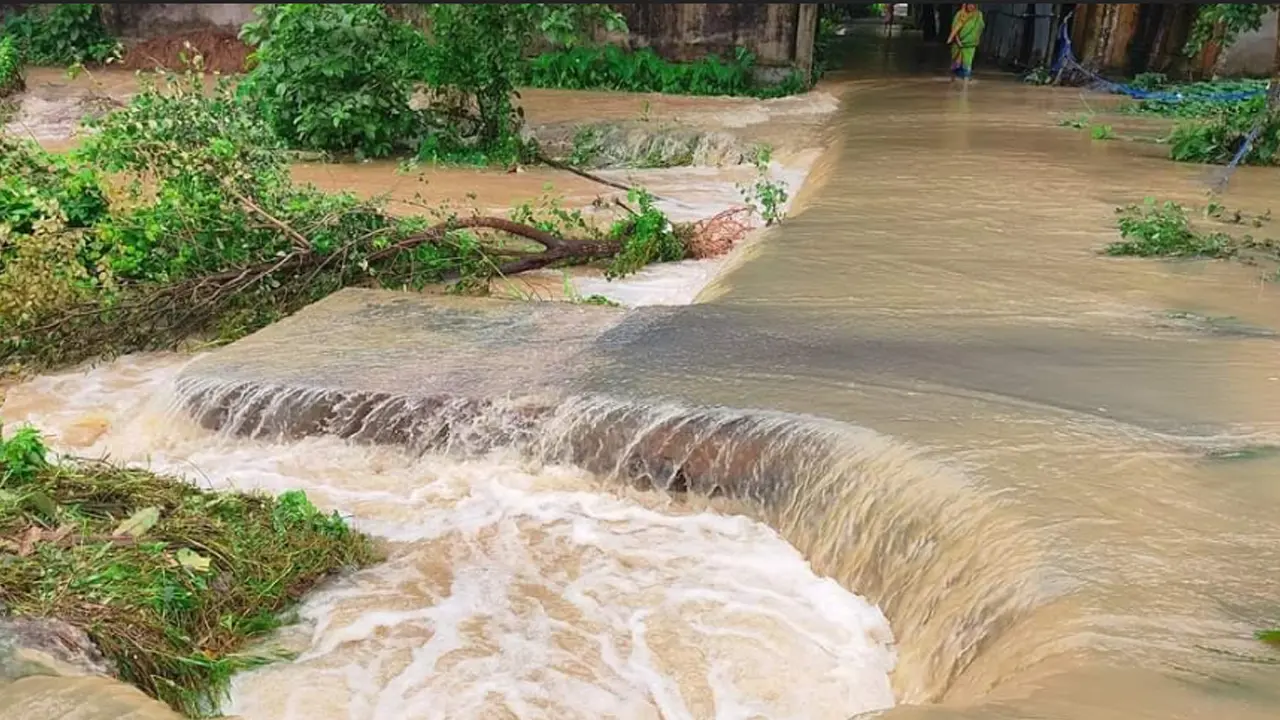 ফেনীতে বন্যায় মৎস্যখাতে ১ কোটি ১৮ লাখ টাকার ক্ষয়ক্ষতি