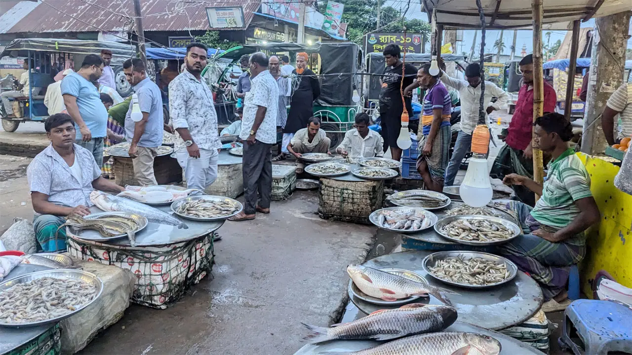 এক বাজারে মেলে নদী, হাওর ও বিলের মাছ