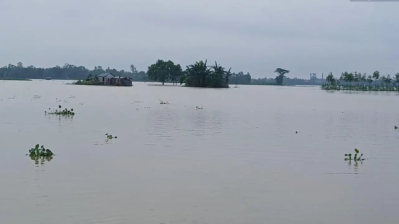 শেরপুরে বন্যা পরিস্থিতির উন্নতি, বেড়েছে ভোগান্তি