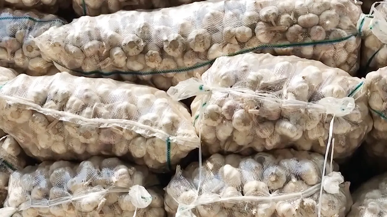 প্রথমবারের মতো মোংলা বন্দর দিয়ে রসুন আমদানি