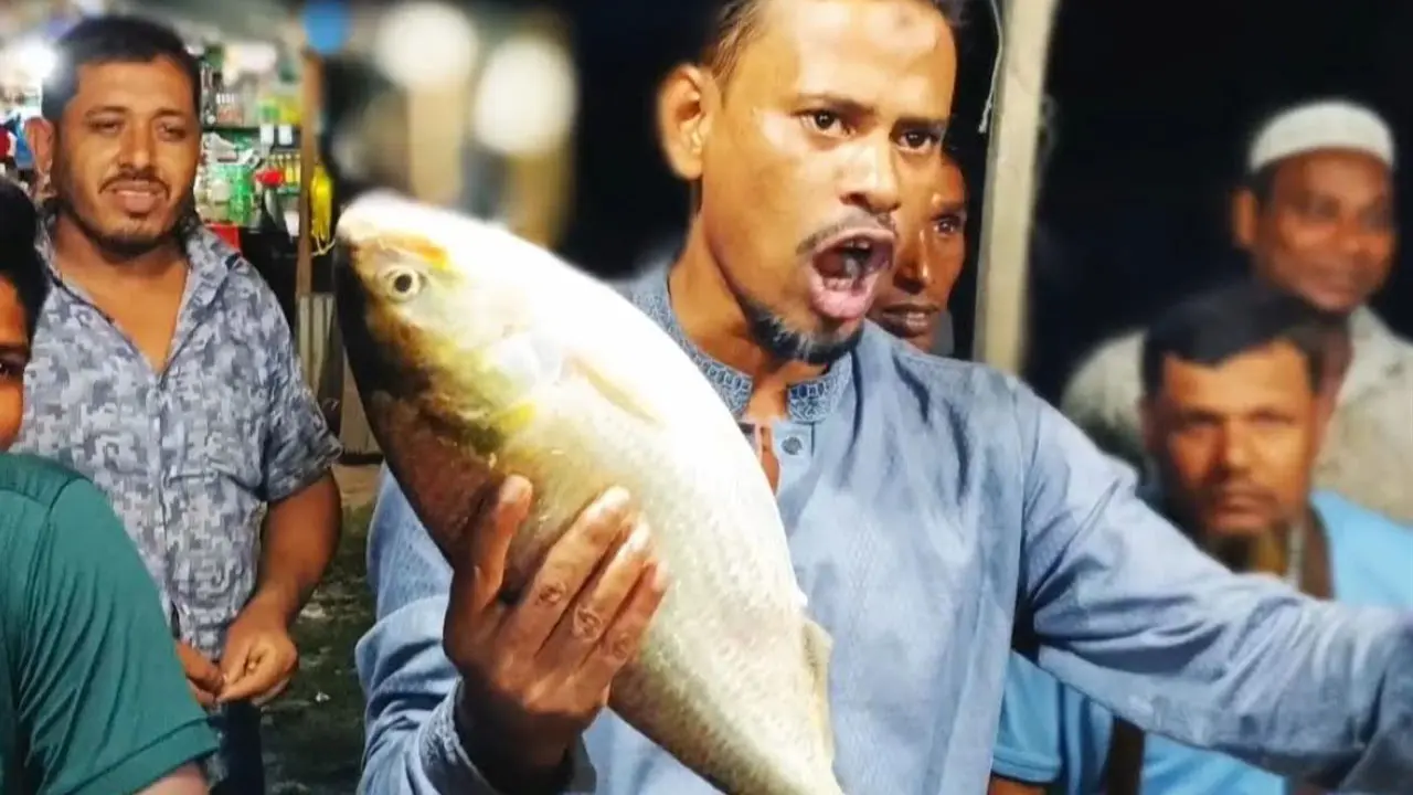 মেঘনার এক ইলিশ বিক্রি হলো ৫২০০ টাকায়