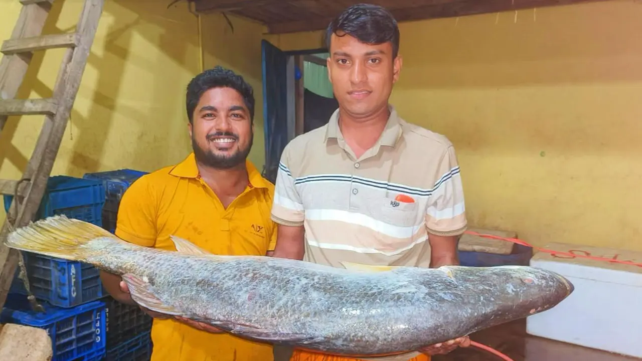 ২২ কেজির কোরাল বিক্রি হলো ২৬ হাজার টাকায়
