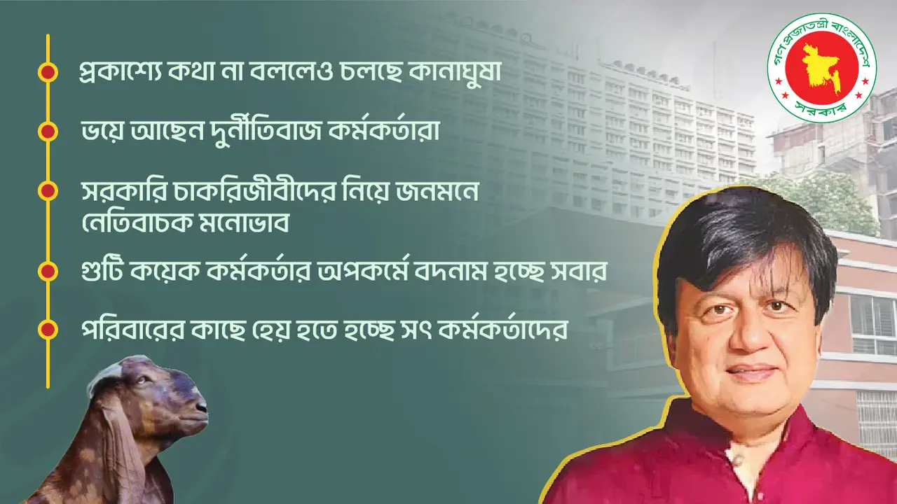 ছাগল-কাণ্ডে বিব্রত সরকারি কর্মকর্তারা, কেউ কেউ আছেন ‘ভয়ে’