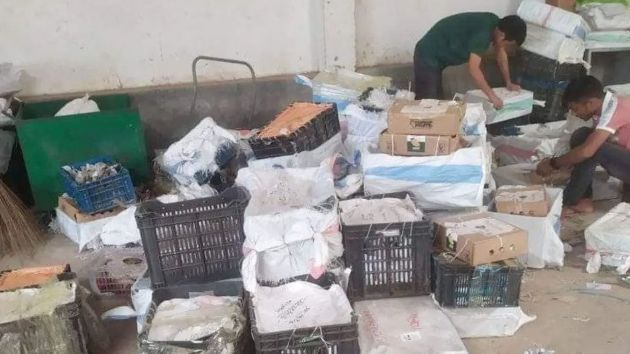 কুরিয়ারেই পচে নষ্ট হলো ১৩ লাখ টাকার আম