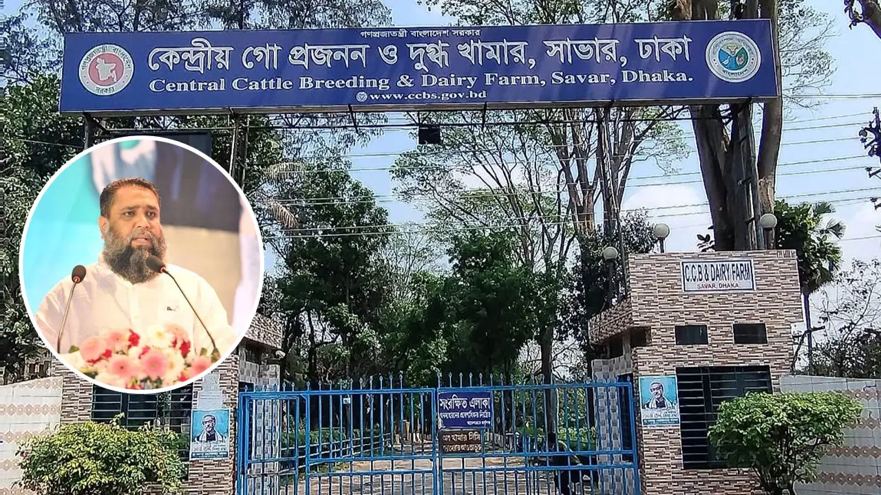 সাভার কেন্দ্রীয় গো প্রজনন ও দুগ্ধ খামারে দুদকের অভিযান