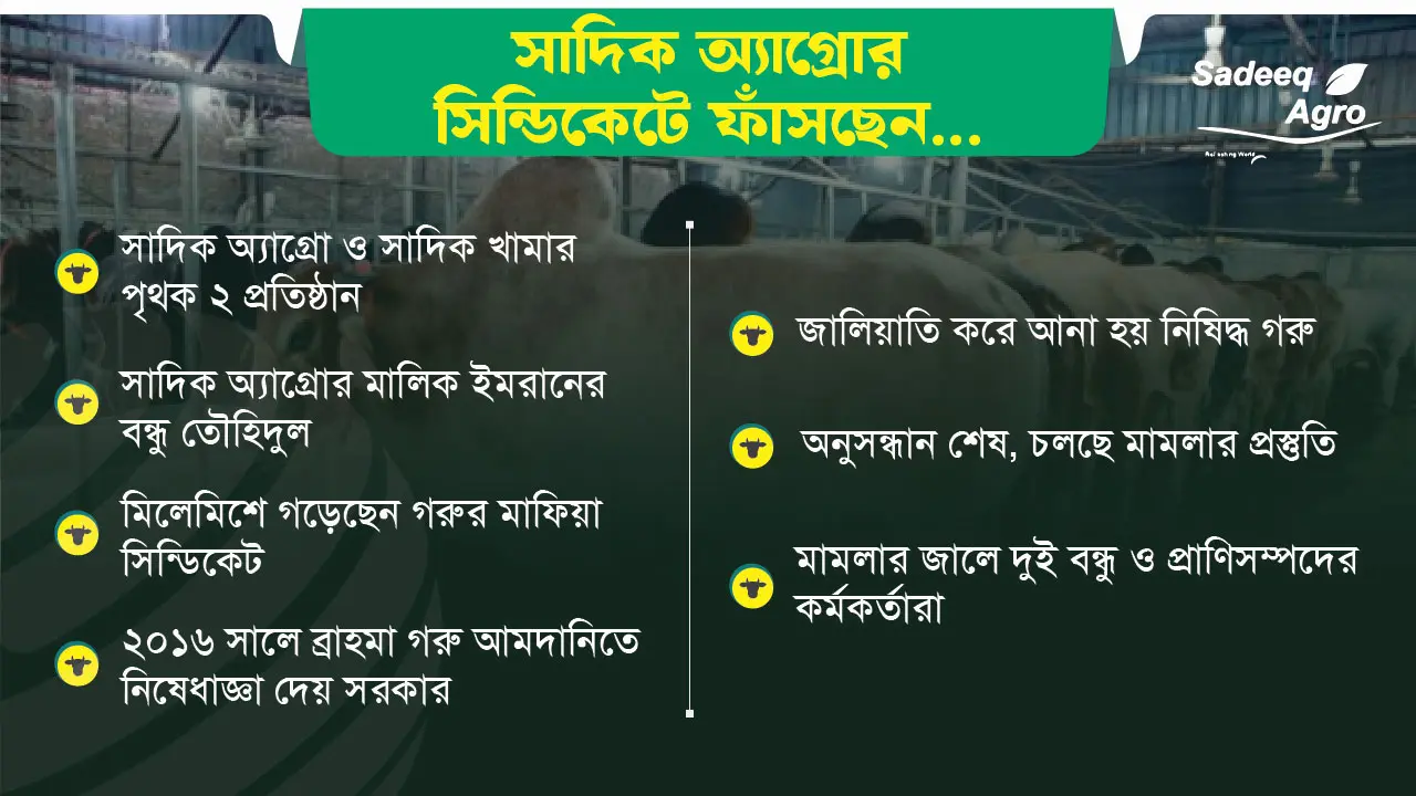 গরুকাণ্ডে ফাঁসছেন সাদিকের ইমরান ও প্রাণিসম্পদের কর্মকর্তারা
