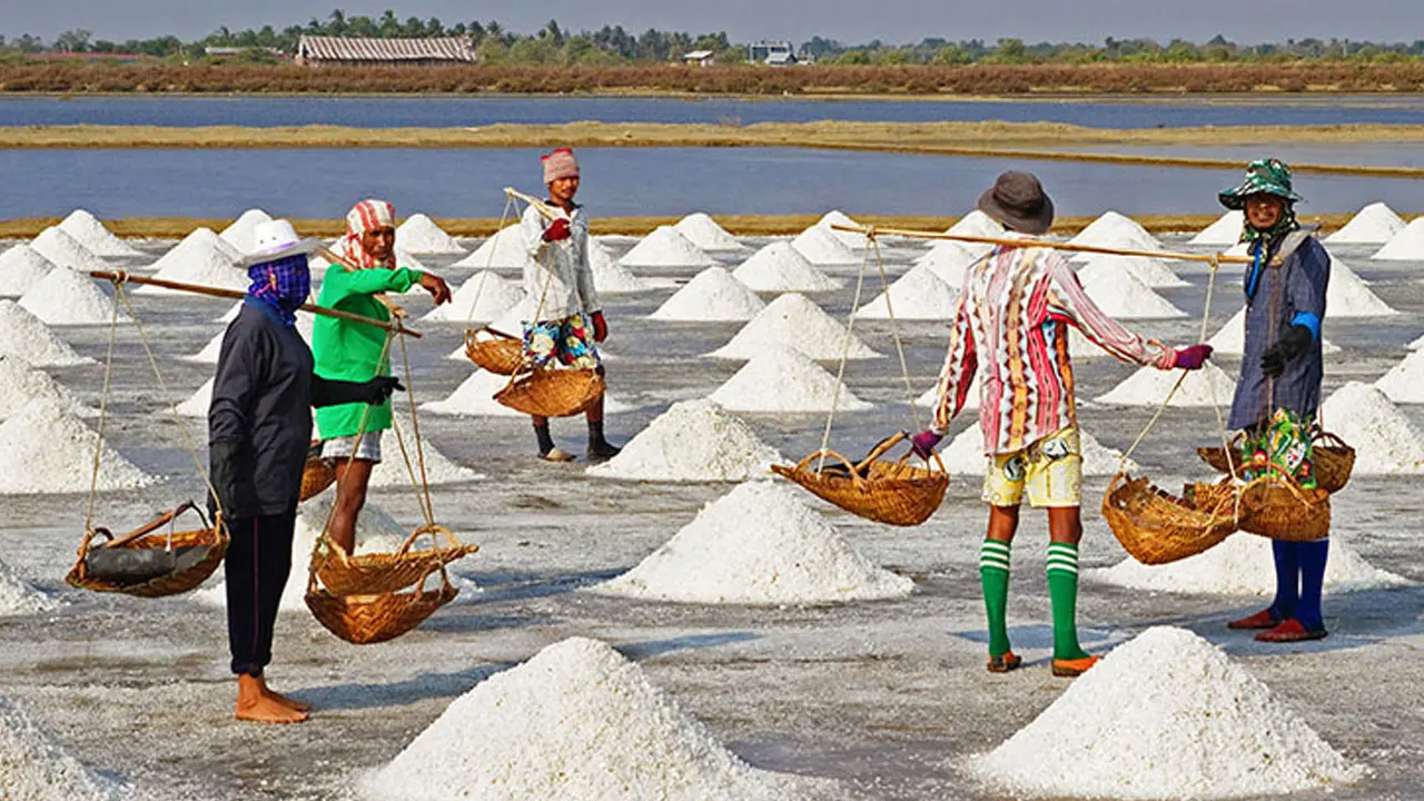 মাঠের ৭ টাকার লবণ যেভাবে ভোক্তাপর্যায়ে ৪২ টাকা