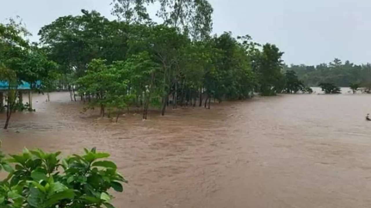 সিলেটে হু হু করে বাড়ছে নদ-নদীর পানি