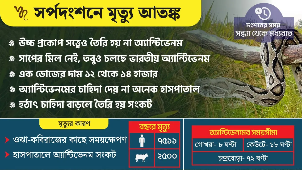 গ্রামাঞ্চলে মৃত্যু-আতঙ্ক, উন্নত চিকিৎসা শহরে