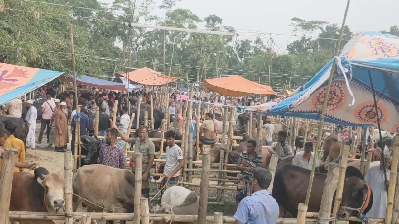বাগেরহাটে পশুর হাটে ভিড়, বেড়েছে বিক্রি