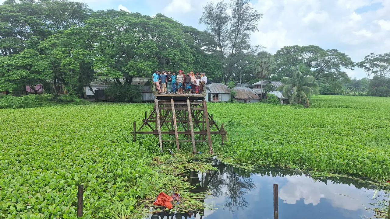 আমতলীতে সেতু ভেঙে ৯ জন নিহতের ঘটনায় দায় কার?