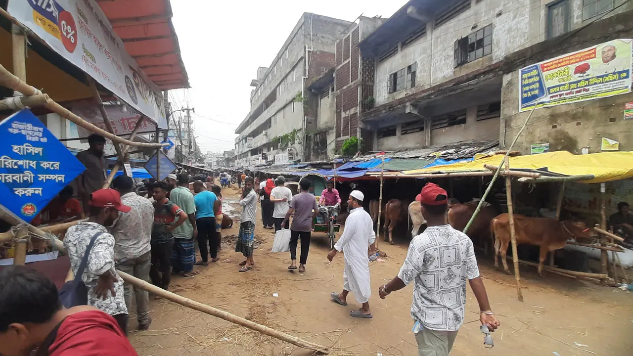 ক্রেতার চেয়ে গরু বেশি, হতাশ বিক্রেতারা