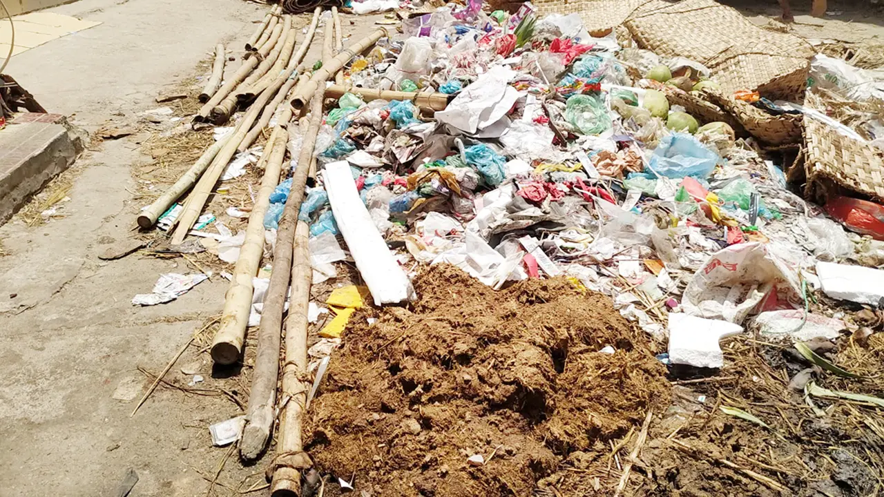 পশুর বর্জ্য দেখলেই কল দিতে হবে যে নম্বরে
