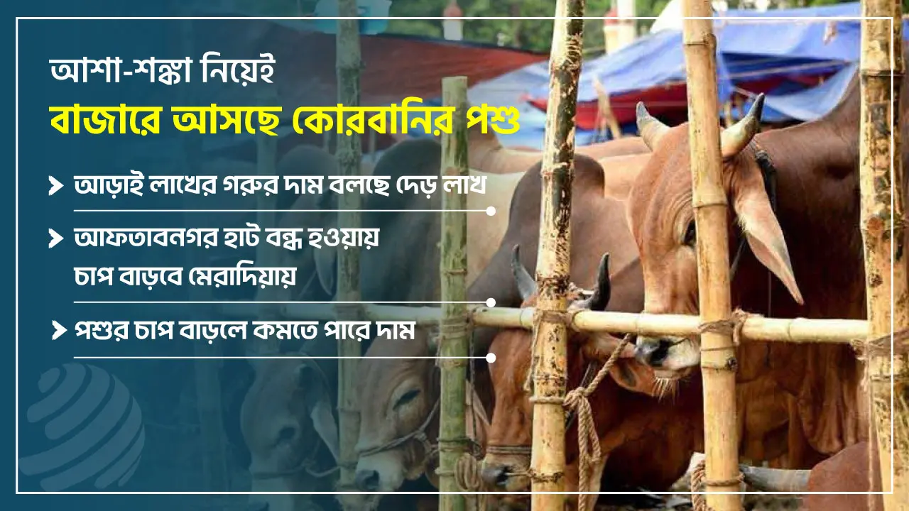 ‘উল্টাপাল্টা’ দাম বলছেন ক্রেতারা, যারপরনাই হতাশ ব্যাপারীরা