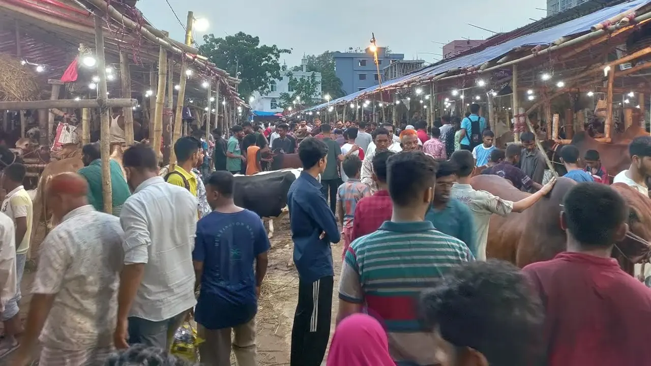 বাজারে ক্রেতার চেয়ে দর্শনার্থীর ভিড় বেশি