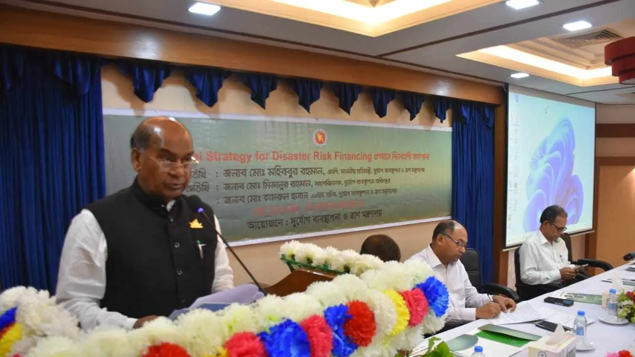 টেকসই উন্নয়ন নিশ্চিতে ডিআরএফ প্রণয়ন করা হবে : প্রতিমন্ত্রী