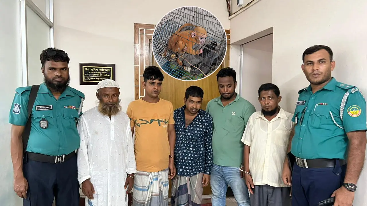গাজীপুরে বিলুপ্ত প্রজাতির হনুমান-টিয়াসহ গ্রেপ্তার ৫