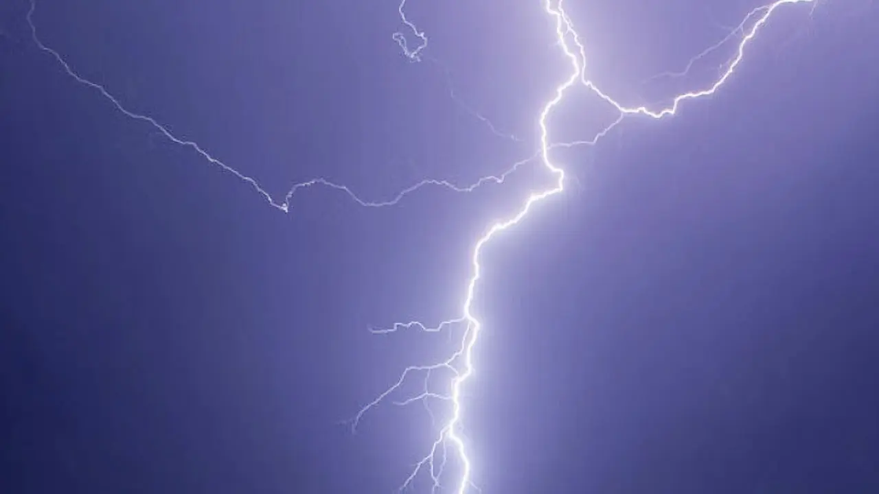 ধানক্ষেতে কাজ করার সময় বজ্রপাতে ২ দিনমজুরের মৃত্যু