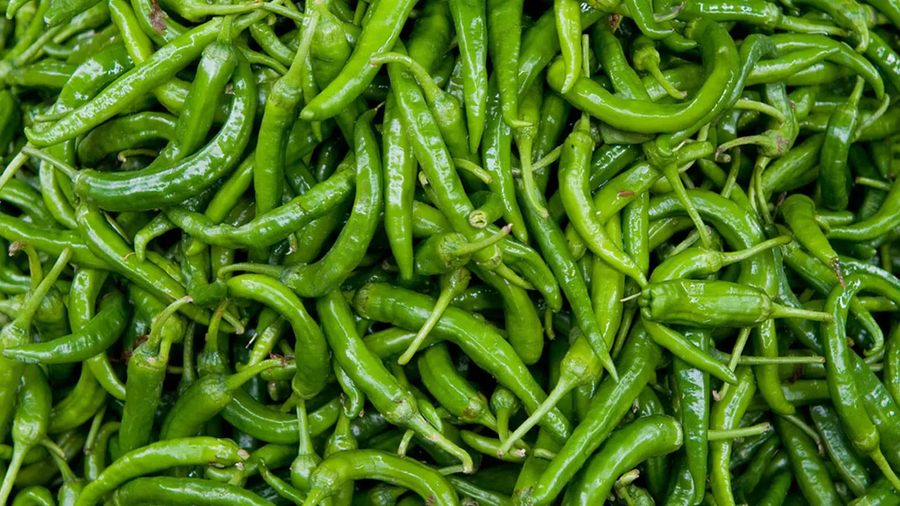 ভারত থেকে এসেছে ১২০ টন কাঁচামরিচ