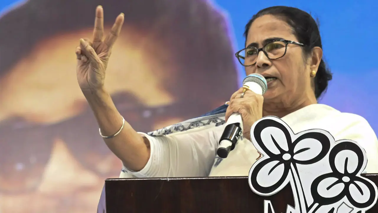 পশ্চিমবঙ্গে তৃণমূলের সাফল্য ও বিজেপির ব্যর্থতার কারণ