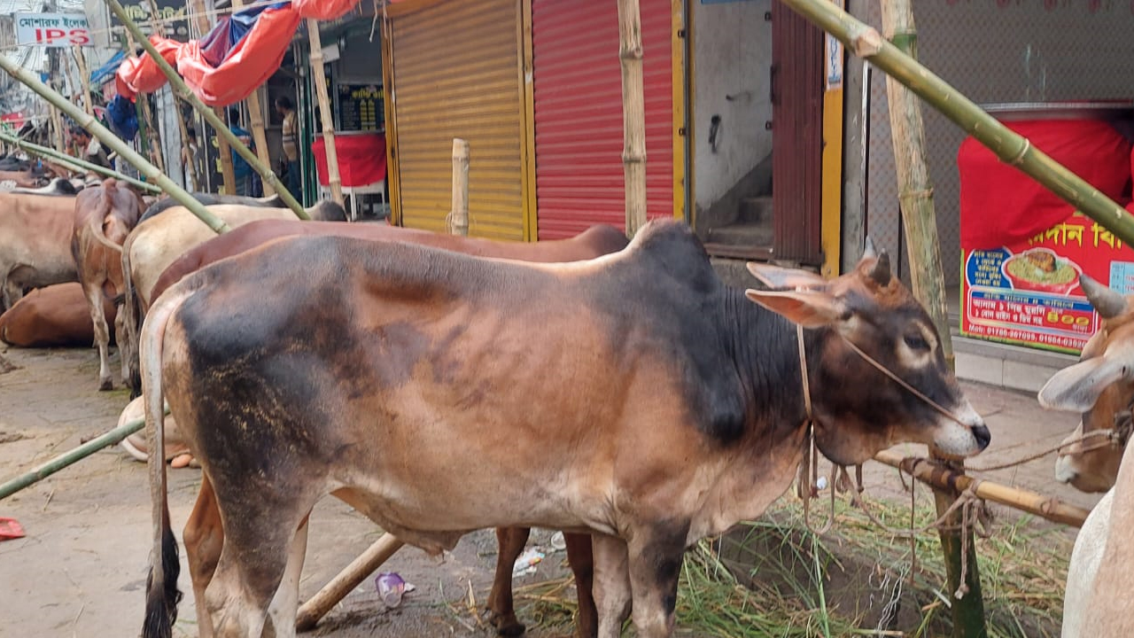 dhakapost