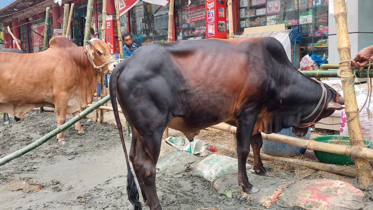 dhakapost