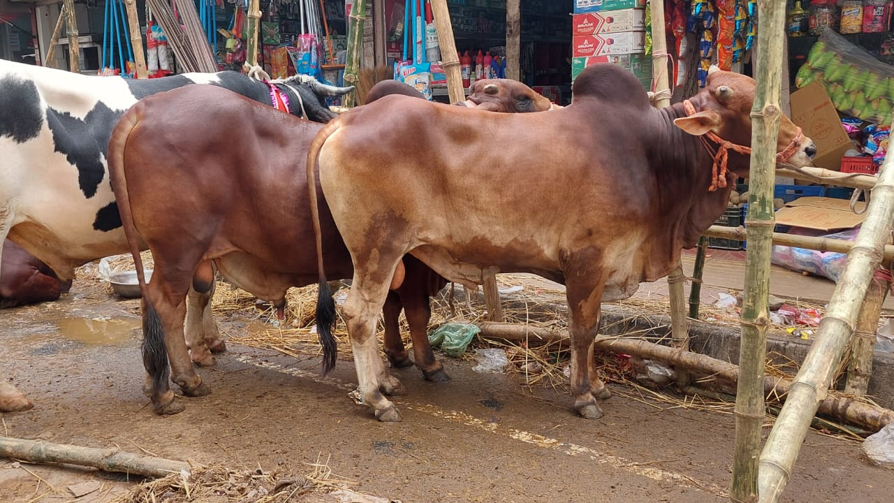dhakapost