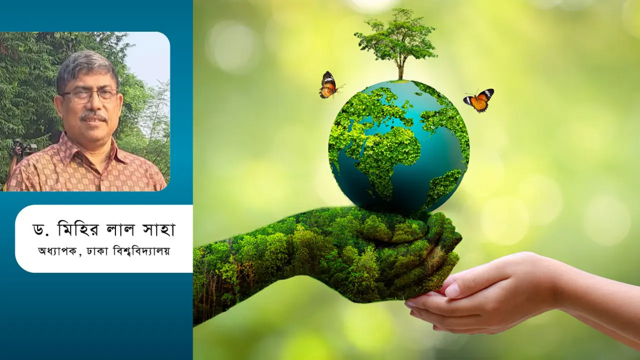 পরিবেশে গাছের গুরুত্ব এবং গাছ লাগানোর উপযুক্ত সময়