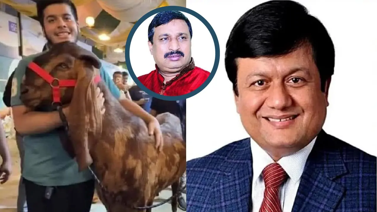 খাসিকাণ্ডে ভাইরাল ইফাত মতিউর রহমানেরই ছেলে : নিজাম হাজারী