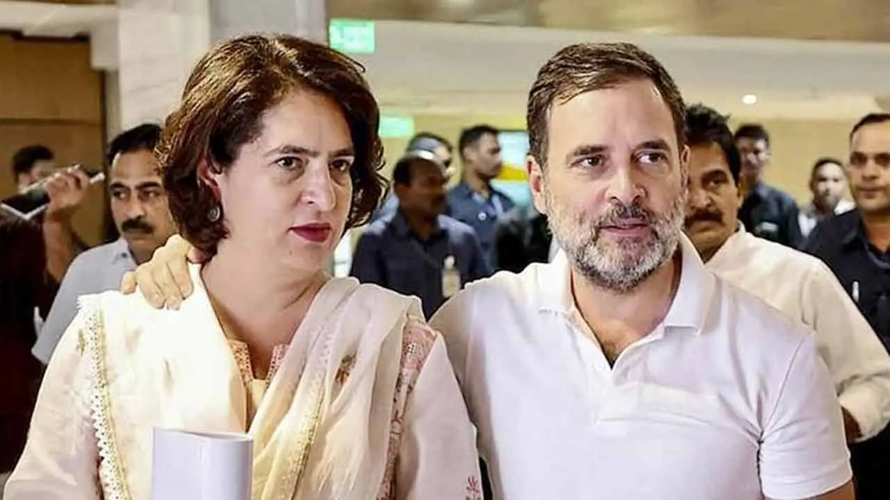 ওয়ানাড় ছাড়লেন রাহুল, সেখানে লড়বেন প্রিয়াঙ্কা