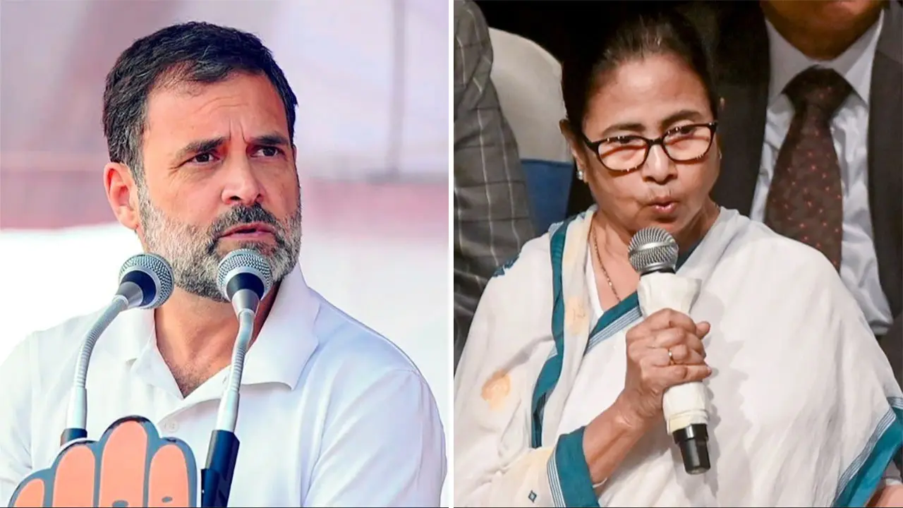 রাহুলের উদ্যোগে কাটল জট, কংগ্রেসের পাশে মমতার তৃণমূল