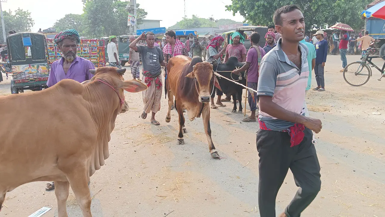 ‘ভাই দাম কত’