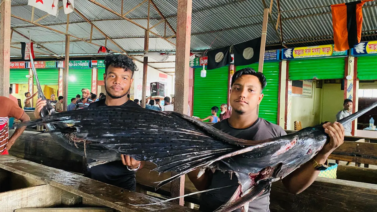 হাতিয়ায় জেলের জালে ধরা পড়ল ২০ কেজির পাখি মাছ 