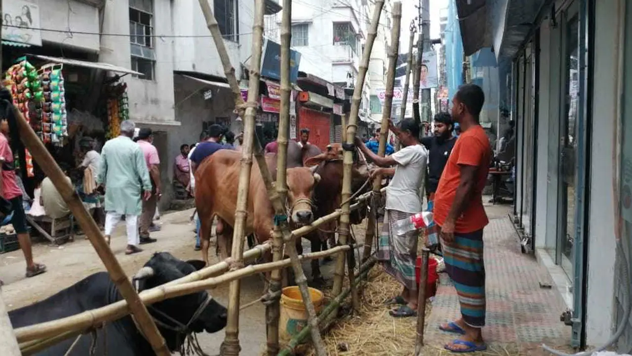 দাম শুনে অন্যদিকে চলে যাচ্ছেন ক্রেতারা