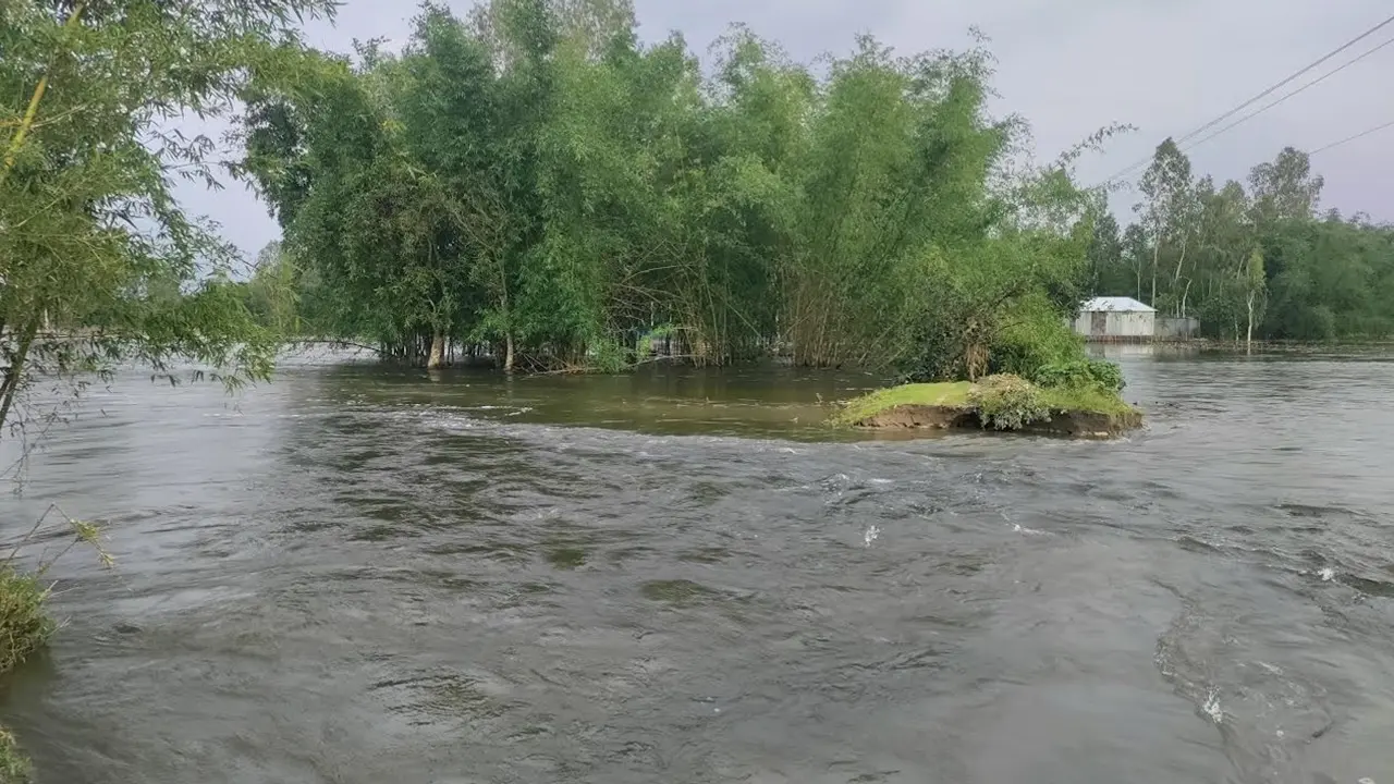 বুড়িতিস্তার বাঁধ ভেঙে লোকালয়ে পানি, দুর্ভোগে ৭ গ্রামের মানুষ