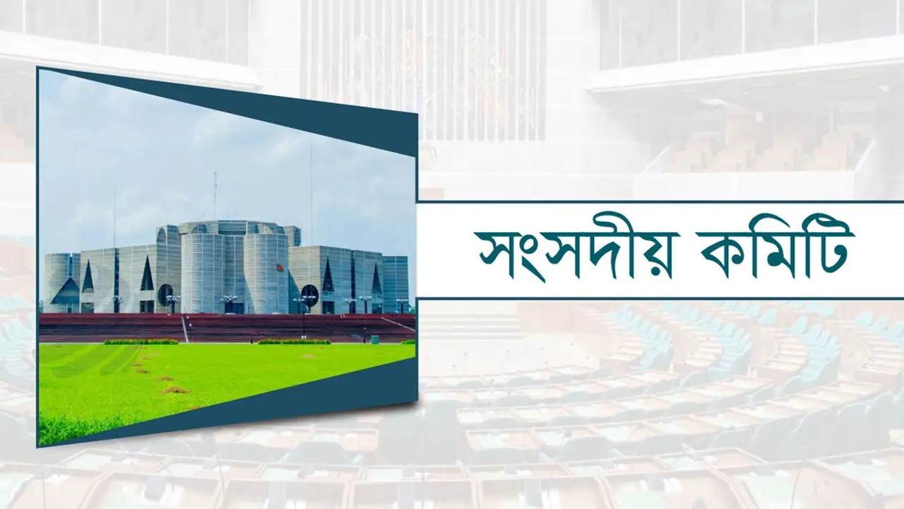ব্রিজের দৈর্ঘ্য বাড়ানোর সুপারিশ সংসদীয় কমিটির 