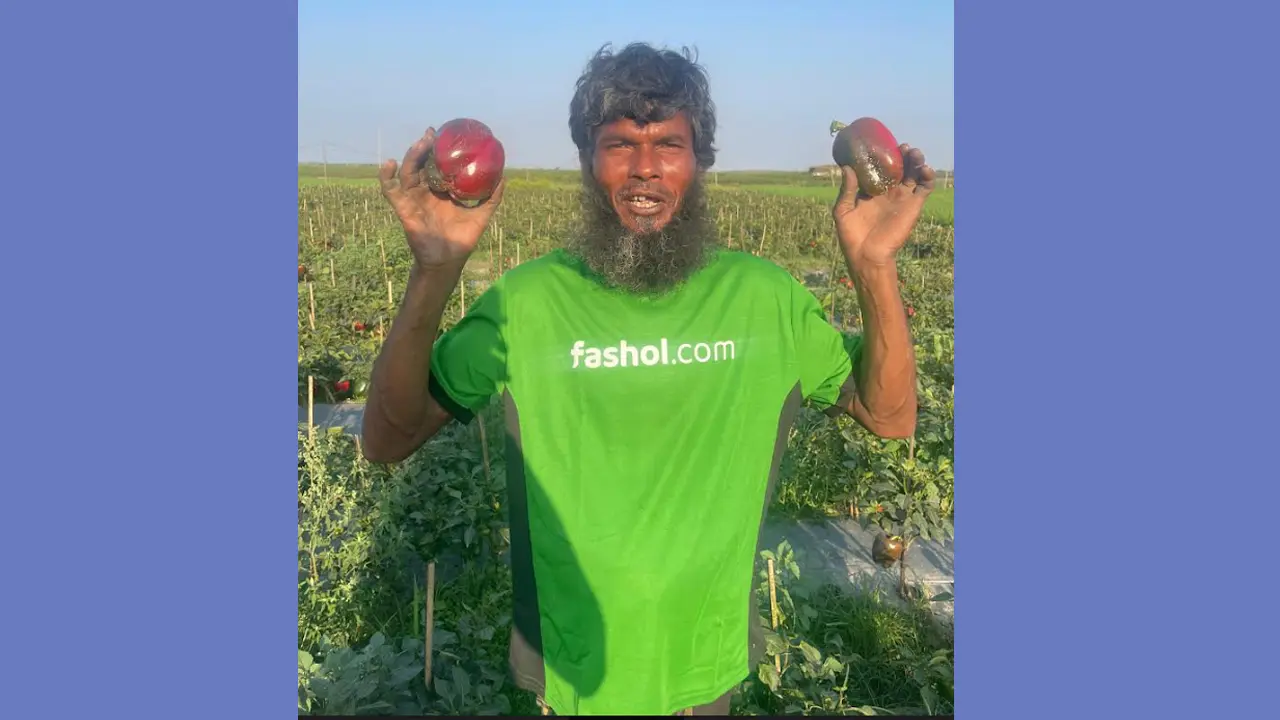অবশেষে হাসি ফুটল সেই কৃষকের মুখে, বিক্রি হলো ক্যাপসিকাম