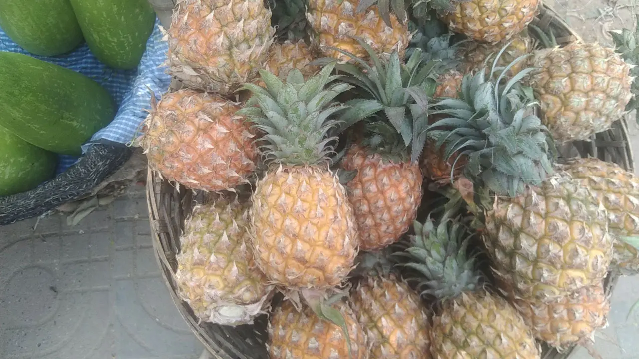 আনারস ধরলেই ৭০!