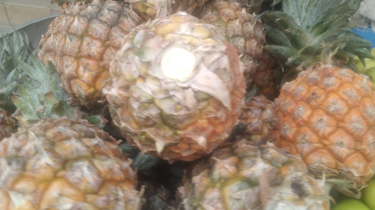 dhakapost