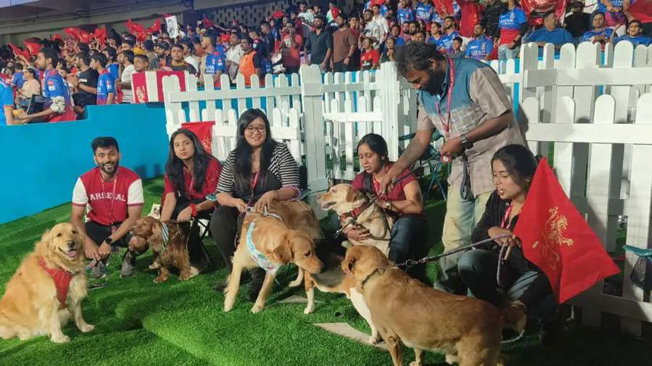 কোহলিদের ঘরের মাঠে ‘ডগ আউট’, খেলা দেখতে পারবে কুকুরও