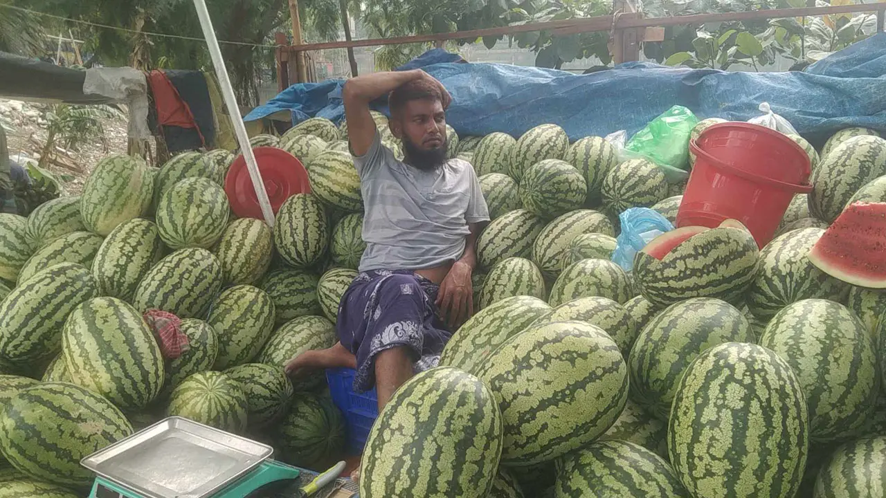 কম দামেও তরমুজ কিনছেন না মানুষ, দুশ্চিন্তায় বিক্রেতারা