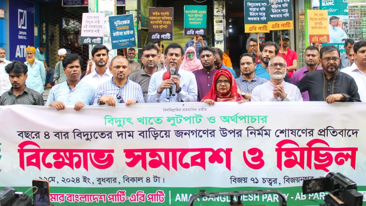 বিদ্যুৎখেকো সরকারকে করুণ পরিণতি ভোগ করতে হবে : এবি পার্টি