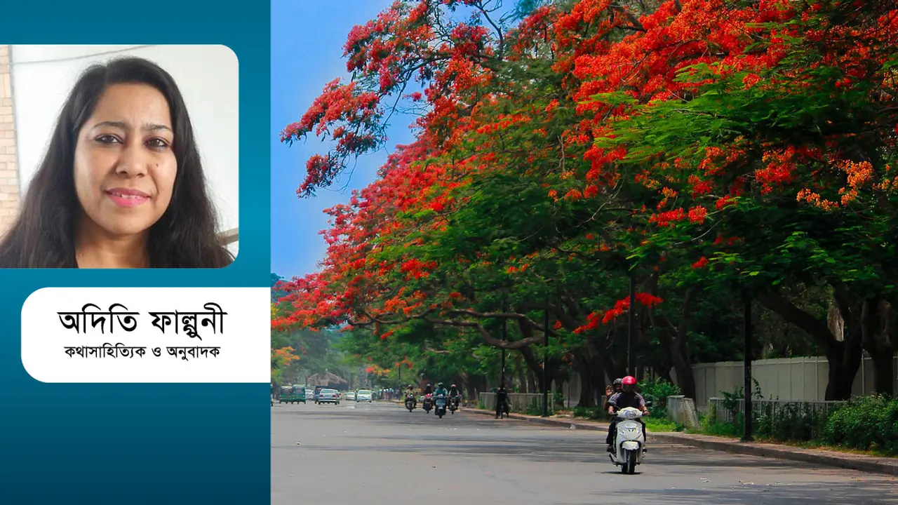 জাপান-নেদারল্যান্ডস পারল, পারলাম না আমরা