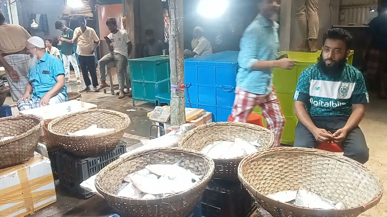 চাঁদপুরে এক কেজি ইলিশের দাম ২৩০০ টাকা