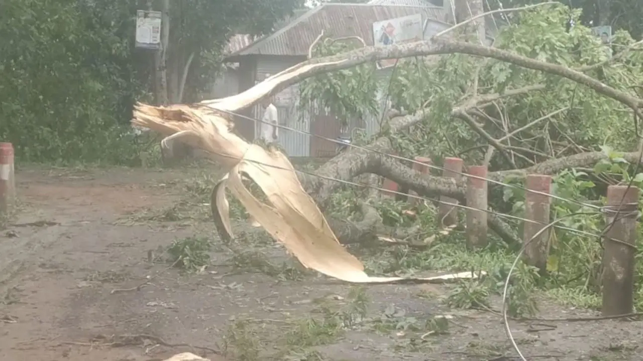 রেমালের তাণ্ডবে শরীয়তপুরে বিদ্যুৎ বিচ্ছিন্ন সাড়ে ৩ লাখ মানুষ